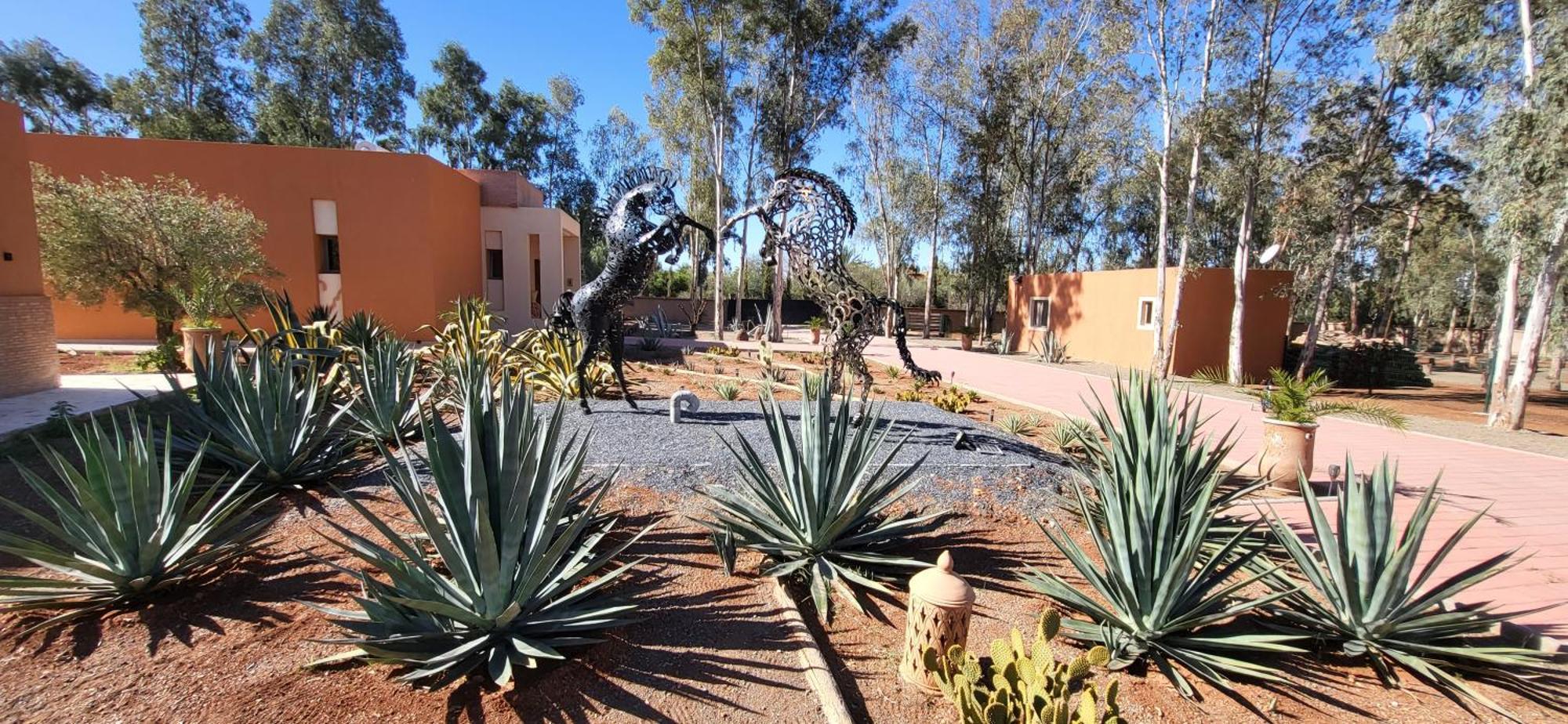 Villa Le Jardin De Jeanne Marrakesh Exterior foto